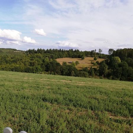 Ferienwohnung Altmaier - Ferien Auf Dem Lande Griebelschied Екстериор снимка