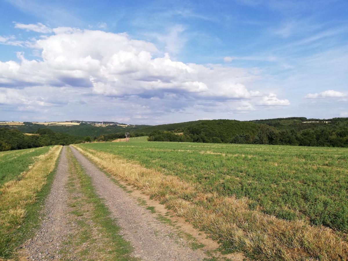 Ferienwohnung Altmaier - Ferien Auf Dem Lande Griebelschied Екстериор снимка