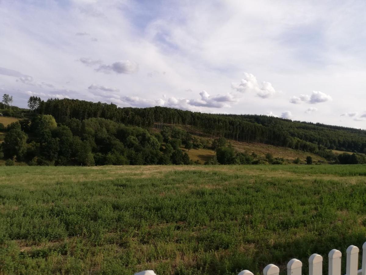 Ferienwohnung Altmaier - Ferien Auf Dem Lande Griebelschied Екстериор снимка